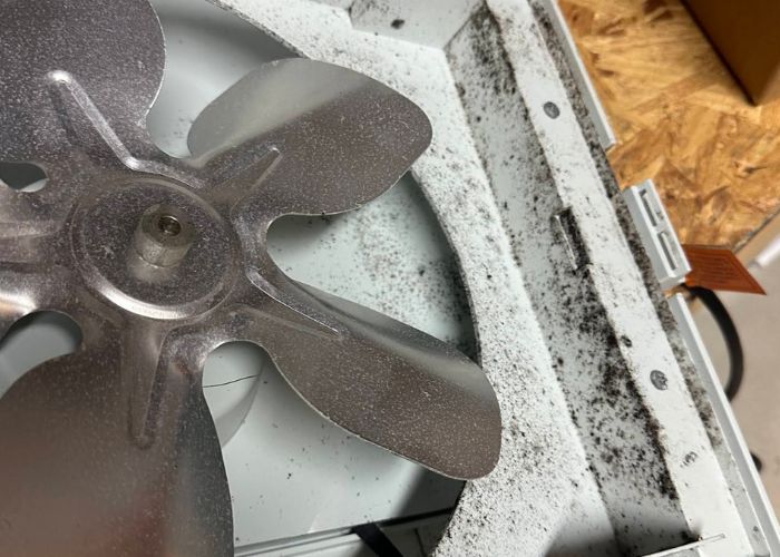 Professional Indoor Air Quality Improvement