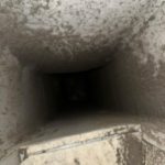 Top Professional Dryer Vent Cleaning Services Near Me