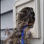 professional Air Duct cleaning