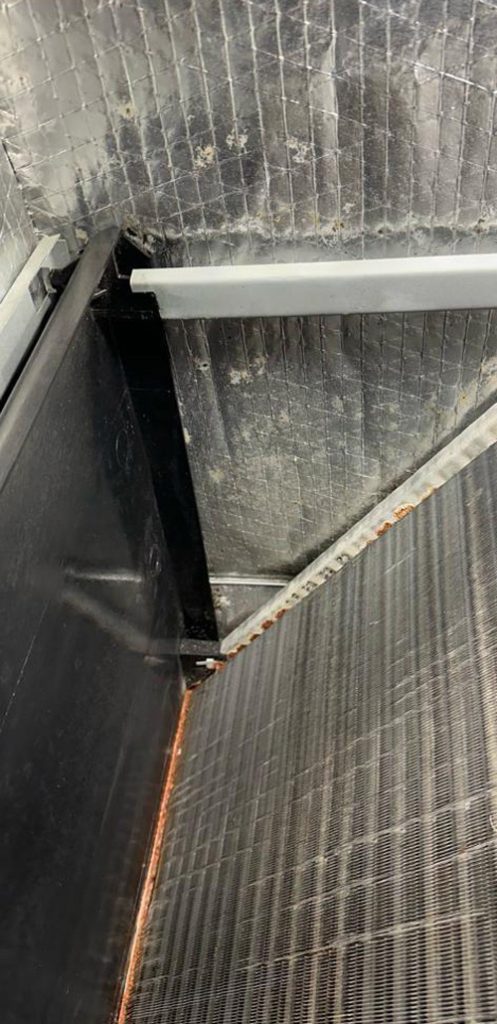 Professional Indoor Air Quality Improvement