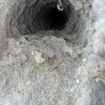 Best Local Air Duct Cleaning Experts